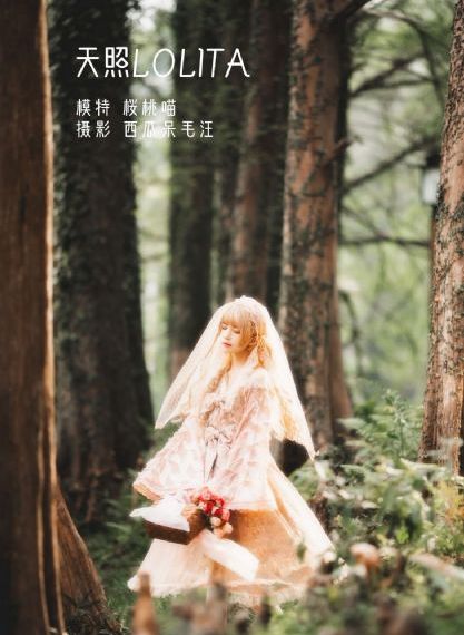 奸臣在线免费观看_高清在线播放