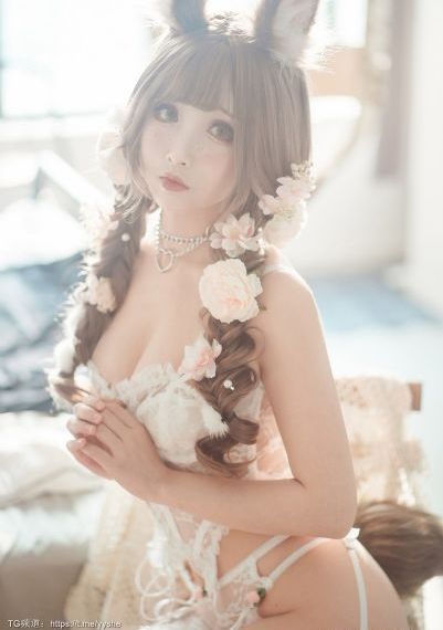 枫与铃樱花动漫在线观看_高清蓝光在线观看